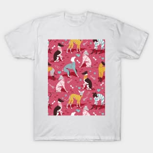 Greyhounds dogwalk // pattern // red background T-Shirt